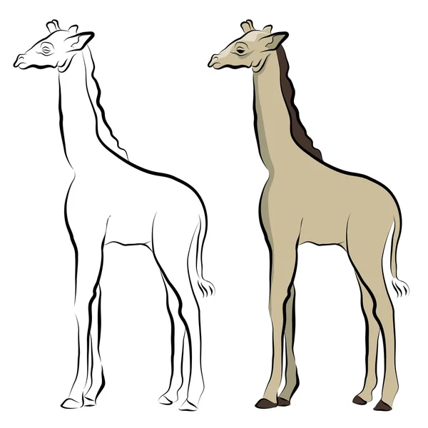 Giraffe línea de dibujo — Vector de stock