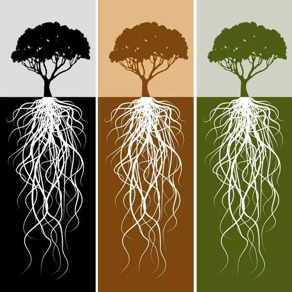 Conjunto de banner de raiz de árvore vertical —  Vetores de Stock