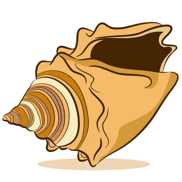 Seashell Drawing — Stock Vector