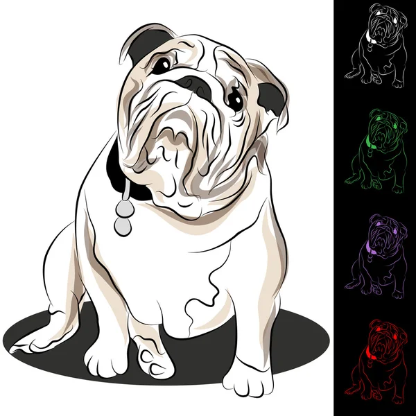 Bulldog conjunto de dibujo — Vector de stock