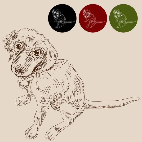 Лабрадорский щенок — стоковый вектор