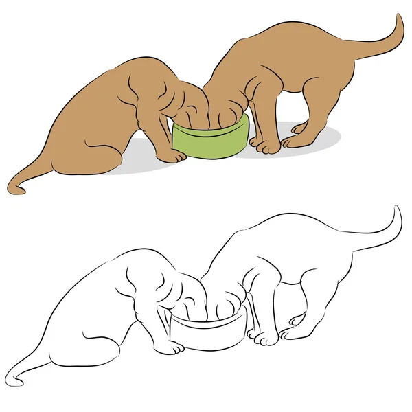 Two Labrador Puppies Eating From A Dog Bowl — Stock Vector