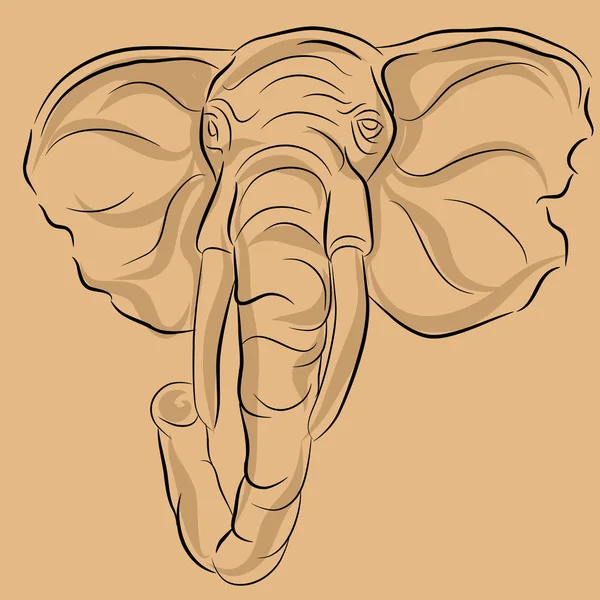 Elefant huvud ritning — Stock vektor