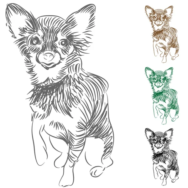 Chihuahua hunden ritning — Stock vektor