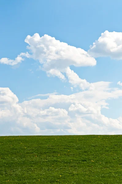 Green Grassy Hill with Blue Sky — Stock Photo, Image