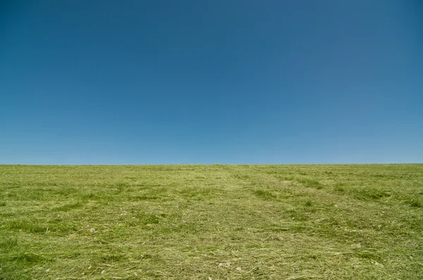 Colina cubierta de hierba con cielo azul Imagen De Stock