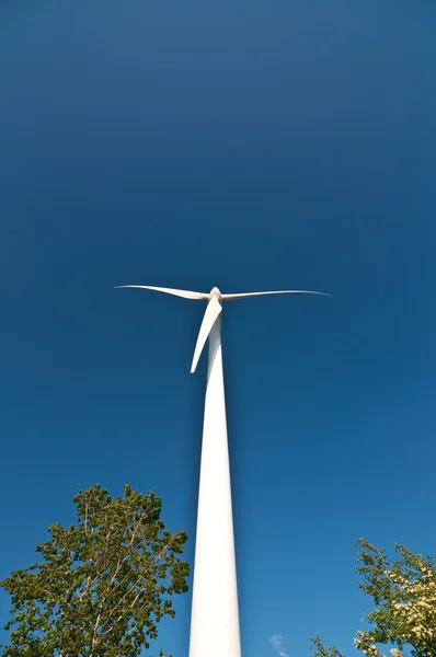 Großes Windrad mit Bäumen und blauem Himmel — Stockfoto