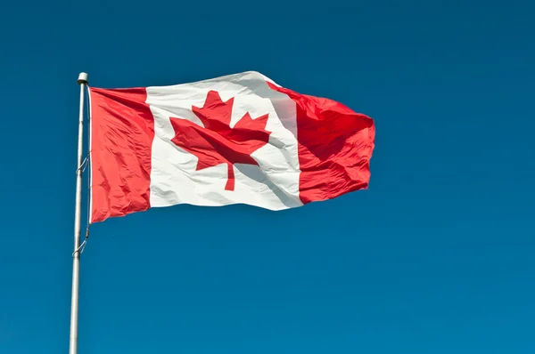 stock image Waving Canadian Flag with Blue Sky