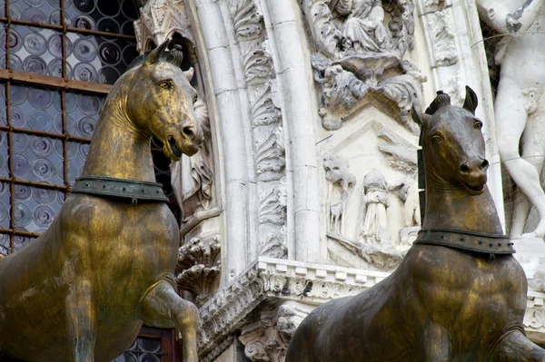 Лошади Св. Маркса закрывают Венецию — стоковое фото