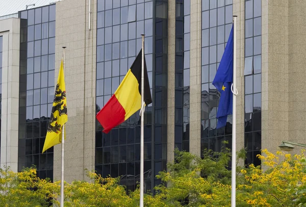 Drapeaux de Belgique Bruxelles — Photo