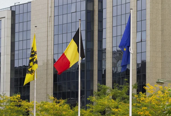 Stock image Belgian Flags Brussels