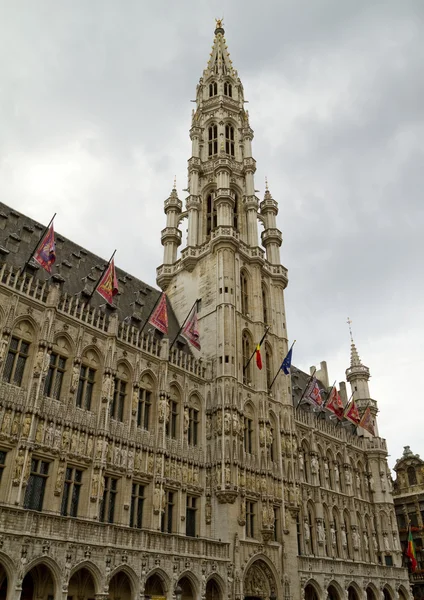 Βρυξέλλες-Δημαρχείο Royalty Free Φωτογραφίες Αρχείου