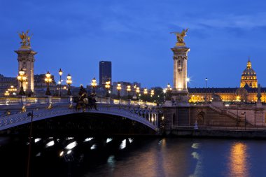 The Alexander III bridge at night. Paris, France clipart