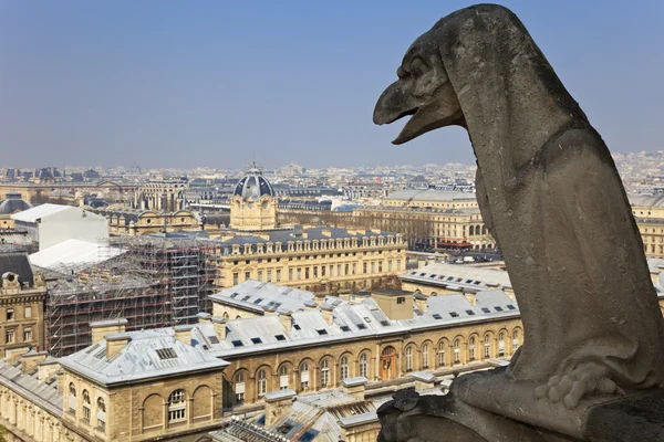 노트르담 내려다 보이는 파리의 유명한 키메라. — 스톡 사진
