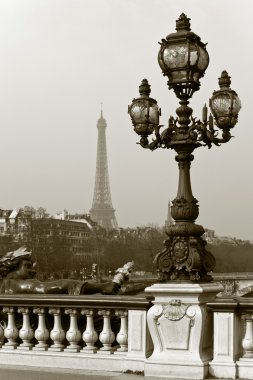 Paris, Fransa alexandre III Köprüsü'nde sokak fener.