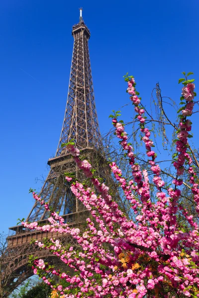 Eiffel-torony. Paris, Franciaország. — Stock Fotó