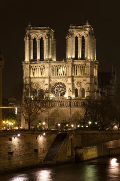 Vista nocturna de Noter Dame de Paris. París, Francia . —  Fotos de Stock