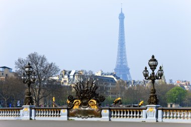 Paris, Fransa alexandre III Köprüsü'nde sokak fener.