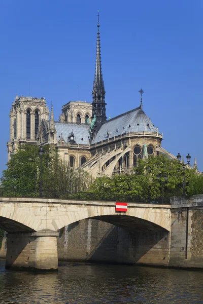Notre dame de Paris, Francja. — Zdjęcie stockowe