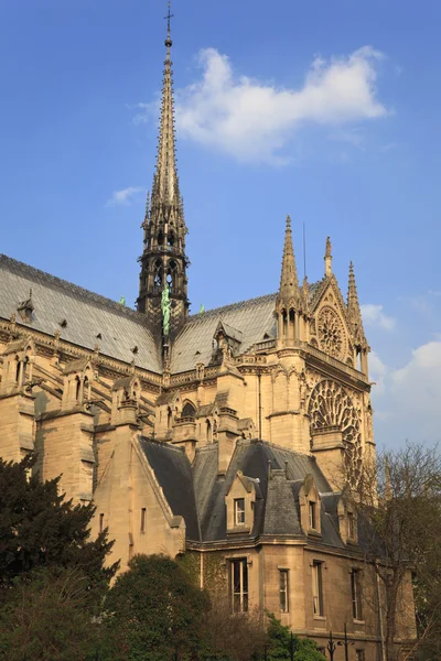 Notre Dame de Paris. París, Francia . — Foto de Stock