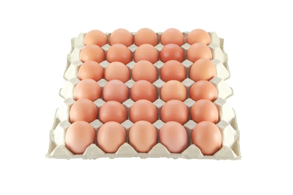 Dreißig Eier — Stockfoto