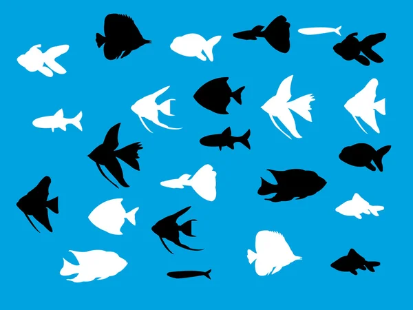 Akvarijní ryby — Stockový vektor