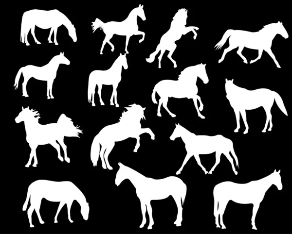 Белые лошади — стоковый вектор