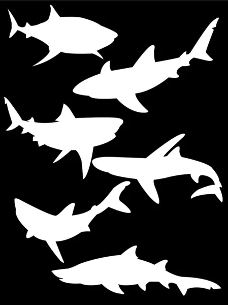 Haaien — Stockvector