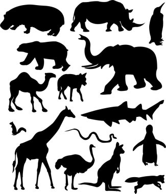 Wild animals clipart