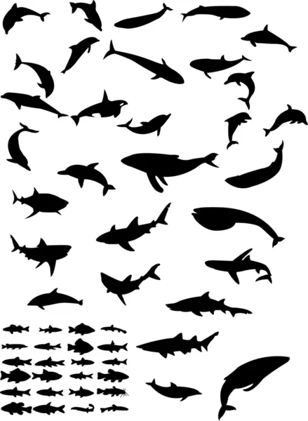 Animaux de mer — Image vectorielle