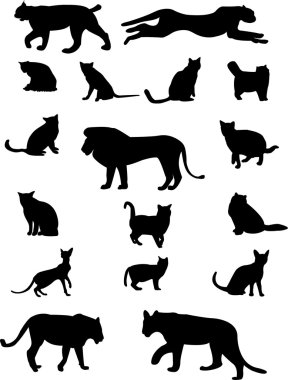 Cat family clipart