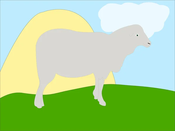 Мультфільм овець — стоковий вектор
