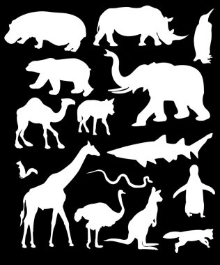 White animals clipart