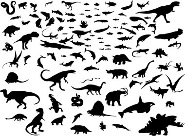 Animals clipart