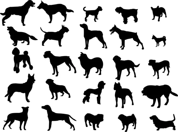 Collection of dogs — Stock Vector