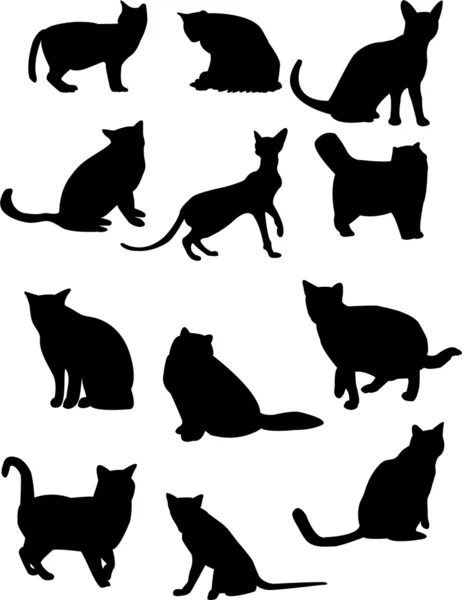 Cat collection — Stock Vector