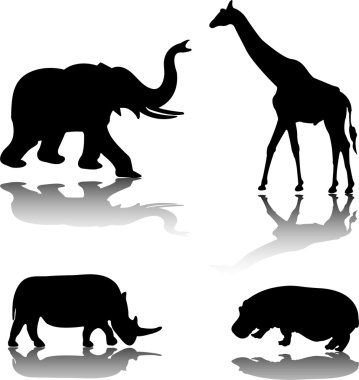 Animals clipart