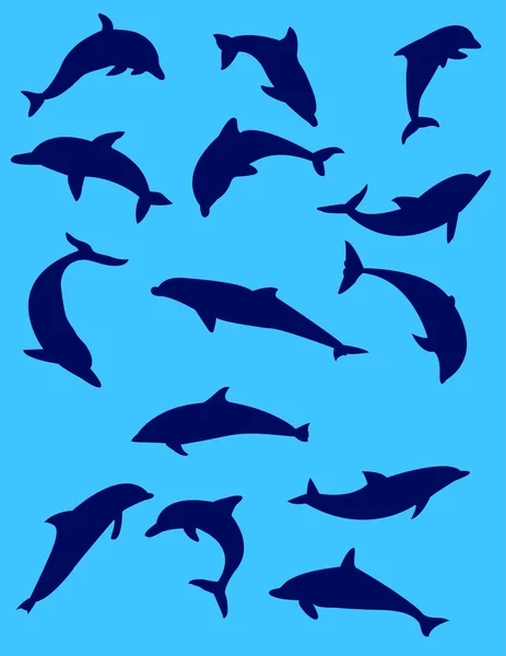 Delfíni — Stockový vektor