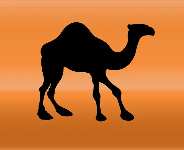 Sílhueta de camelo —  Vetores de Stock