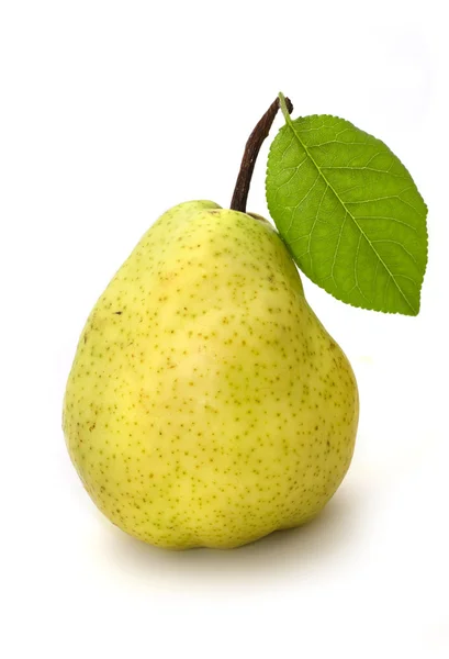 在白色背景上隔绝的成熟梨 — 图库照片