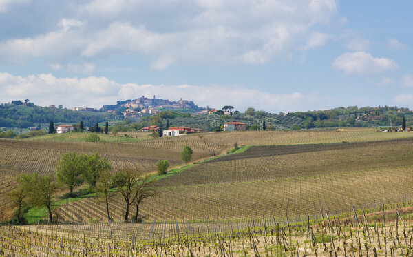 Landscape with Italian town in Tuscany, Montepulciano