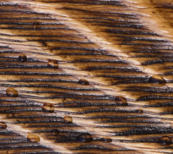 stock image Wood texture