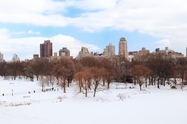 New York'un manhattan central Park'ta kış