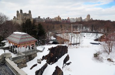 New York'un manhattan central Park'ta kış