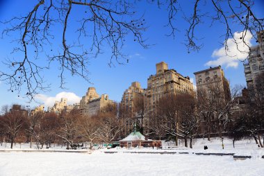 New York'un manhattan central Park'ta kış