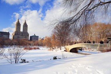 New York'un manhattan central park panorama kış