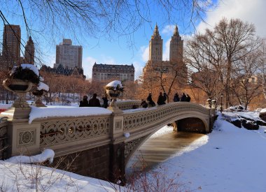 New York'un manhattan central park panorama kış