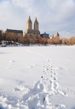 New York'un manhattan central Park'ta kış