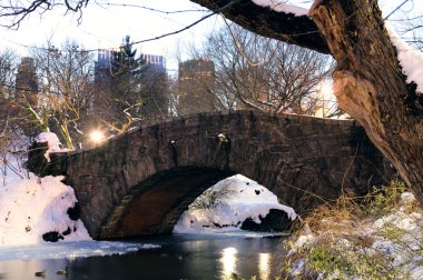 New York'un manhattan central Park'ta kış