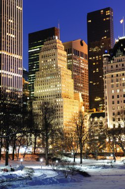 New York'un manhattan central park panorama